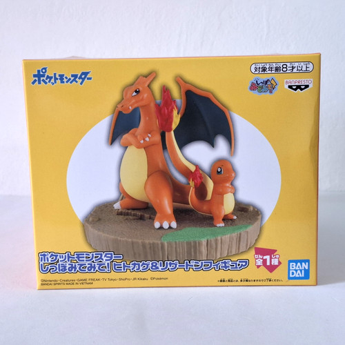 Pokemon charizard charmander - pokemon,